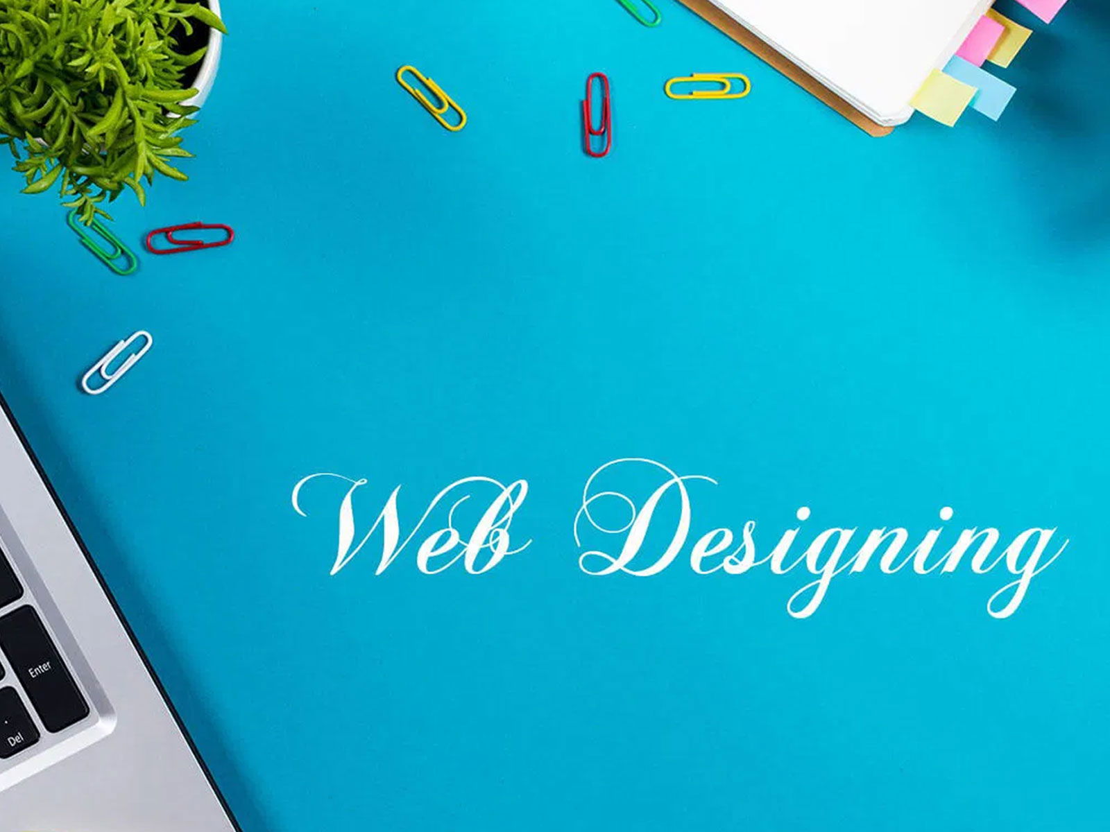 Best Website Designing Companies in Chandigarh