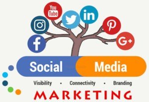 social media marketing in chandigarh