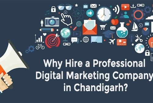 Hire Professional Digital Marketing Company in Chandigarh