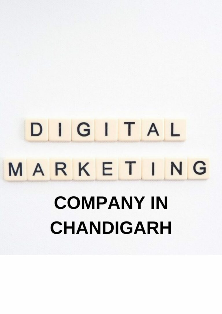 Digital Marketing Company In Chandigarh: All You Need To Know