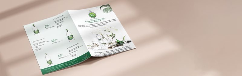 Best Brochure Designing In Chandigarh