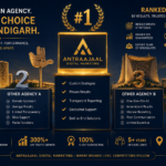 Which is the leading Digital marketing company in Chandigarh and why?
