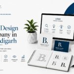 Best Logo Design Company in Chandigarh