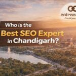 Best SEO Expert in Chandigarh