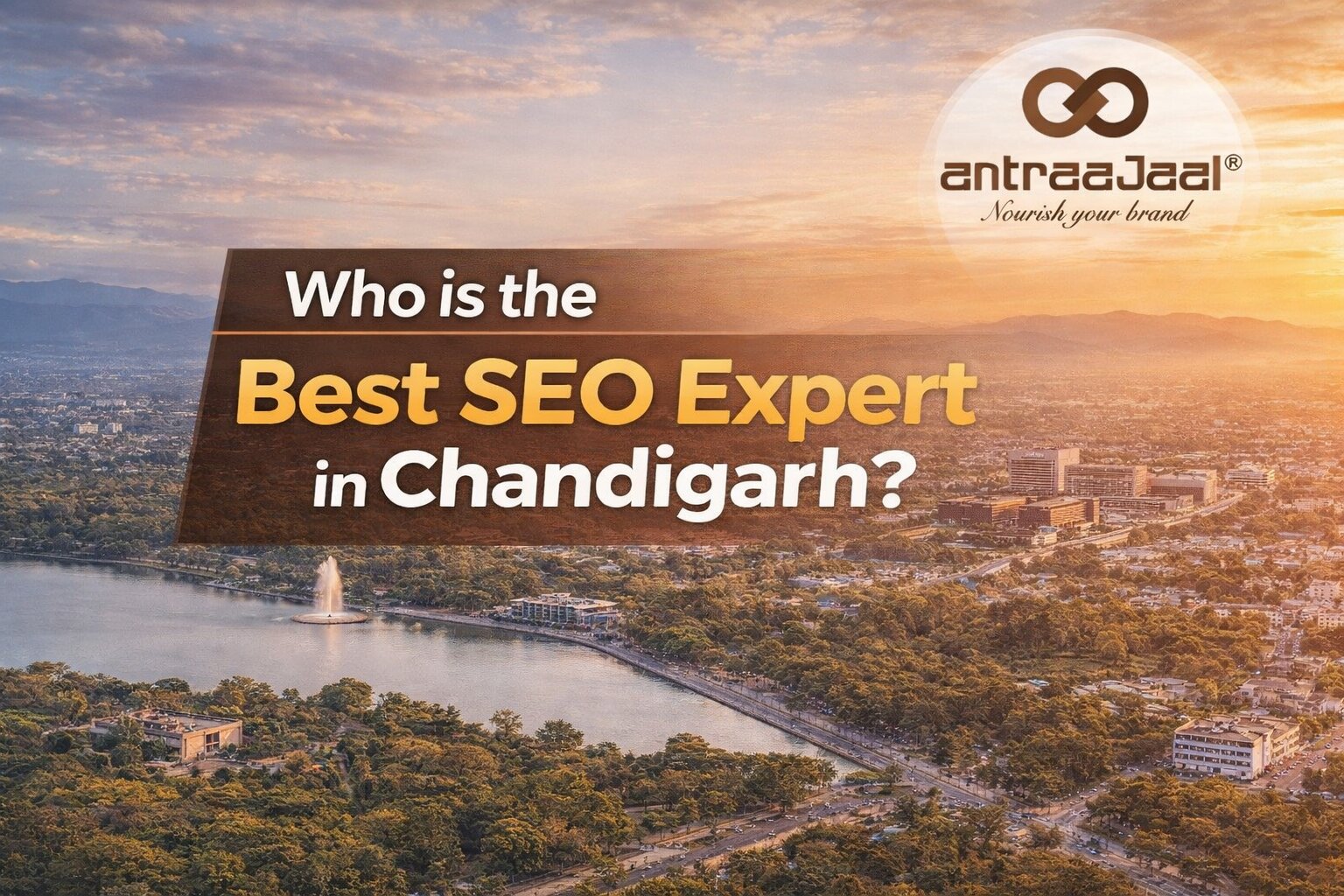Who is the Best SEO Expert in Chandigarh?