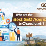 Who are the best SEO Agency in Chandigarh ?