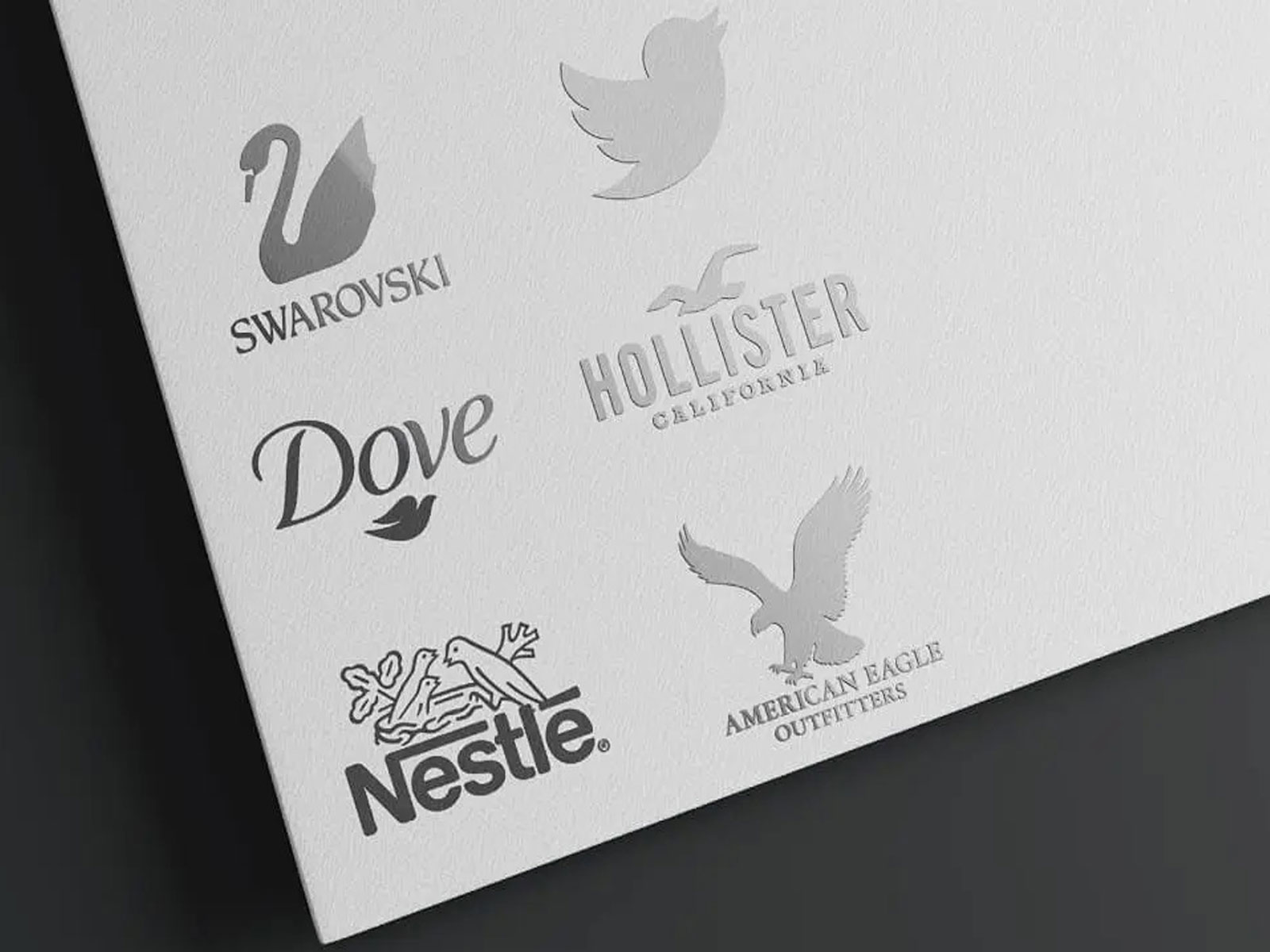 Bird-Inspired Logos That Soar: Creative Ideas for National Bird Day