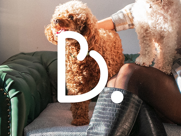 Logo & Visual Language